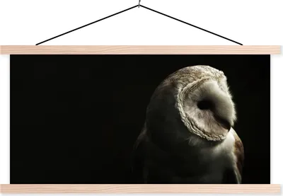 Produktbild von MuchoWow® Textilposter Eule - Vogel - Porträt 60x30 cm mit holzfarbenen Rahmen - Dekoration