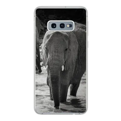 Produktbild von MuchoWow® Handyhülle Schutzhülle Hülle für Samsung Galaxy S10e Elefant - Tiere - Wasser - Schwarz und weiß Silikon Softcase Handy Hülle - Handy