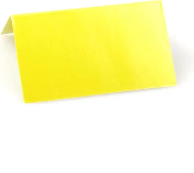 Produktbild von Tischkärtchen - limette - 65x38mm - 48 Stück - 56007 60