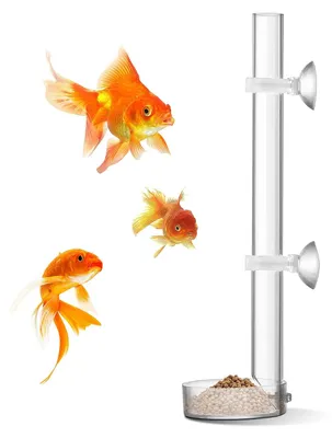 Obrázok produktu pre TRANKIELO® - Odolný akrylový podávací systém pre krevety - 25 cm dlhá násypka a 6,5 cm miska - ideálne pre akváriá