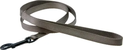 Image de Laisse pour chien ASP gris 100 cm 20 mm