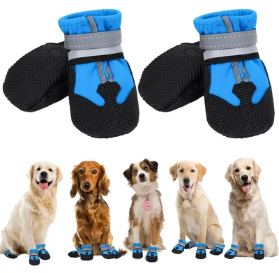 Image de Bottes imperméables pour chiens, pour la protection des pattes