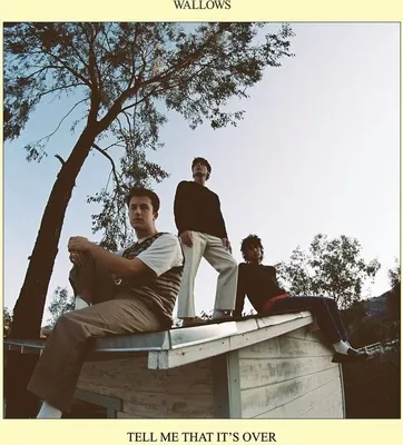 Produktbild von Wallows: Tell Me That It's Over