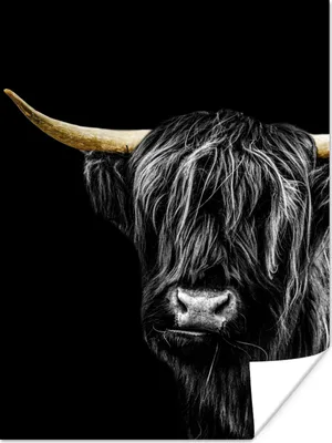 Produktbild von MuchoWow® Poster Schottischer Highlander - Horn - Gold 90x120 cm - Wohnzimmer