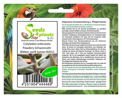 Produktbild von 10x Cotyledon orbiculata Powdery Schweinsohr Blätter weiß Samen B2011