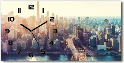Produktbild von Wanduhr aus Glas – 60x30 cm - Glasbild - Glasuhr - Gehärtetes Glas - schwarze-zeiger - New York Vogelflug