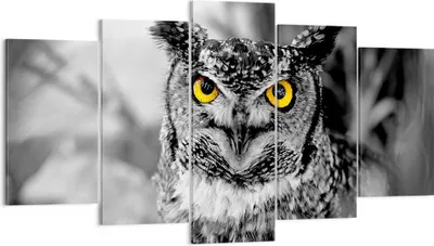 Produktbild von Bild auf Leinwand - Leinwandbild - Eule Vogel Natur - 160x85cm - Wand Bild - Wanddeko - Wandbilder - Leinwanddruck - Bilder - Kunstdruck - Wanddekoration - Leinwand bilder - Wandkunst - EA160x85-1318