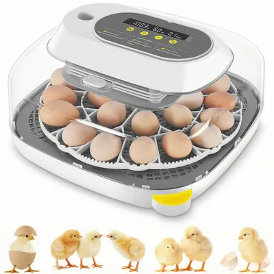 Produktbild von 24 Eier Inkubator, 4 Modi, 360° sichtbarer Eier Inkubator mit automatischer Eierumdrehung und Temperatur und Feuchtigkeitsanzeigefunktion mit Adapter