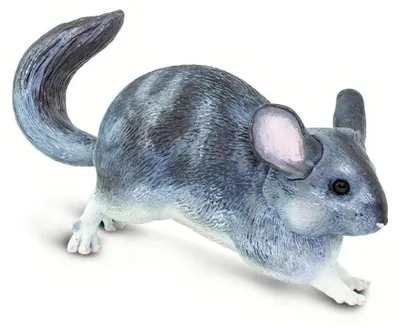 Obrázek produktu pro Safari Ltd 100075 Chinchilla