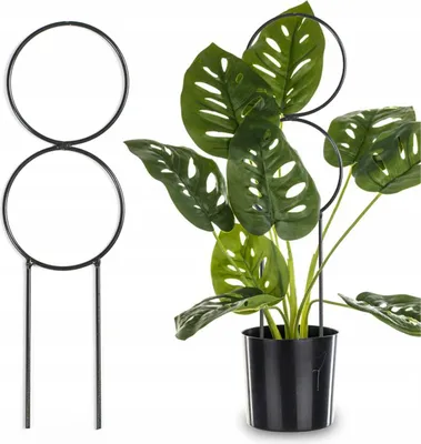 Produktbild von Pflanzenstütze aus Stahl 34 cm dunkelgrün, pulverbeschichtet – stabile Blumenstütze, Rankhilfe, Pflanzenhalter, Gartenstütze, Staudenhalter, korrosionsgeschützt