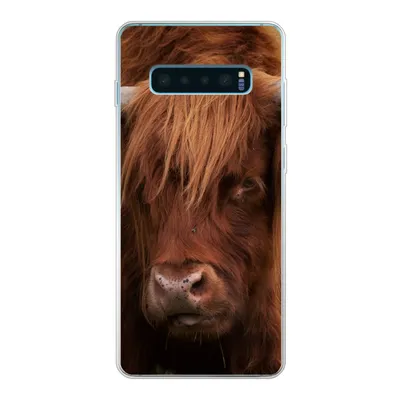 Produktbild von MuchoWow® Handyhülle Schutzhülle Hülle für Samsung Galaxy S10 Plus Schottischer Highlander - Orange - Tiere Silikon Softcase Handy Hülle - Schutzhülle