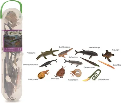 Zdjęcie produktu dla Pudełko z 12 minifigurkami prehistorycznych zwierząt morskich