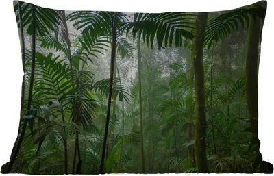 Produktbild von MuchoWow® Outdoor Kissen - Regenwald - Tropisch - Dschungel - Bäume - Pflanzen - 60x40 cm - Wetterfest - Lounge Kissen - Zierkissen - Kissen für Innenräume