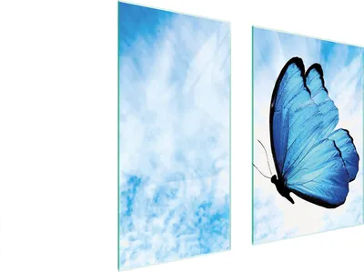 Immagine prodotto di Piastre copri fornelli 2 pezzi 75x52 Copri piano cottura in Vetroceramica tagliere in vetro farfalla blu