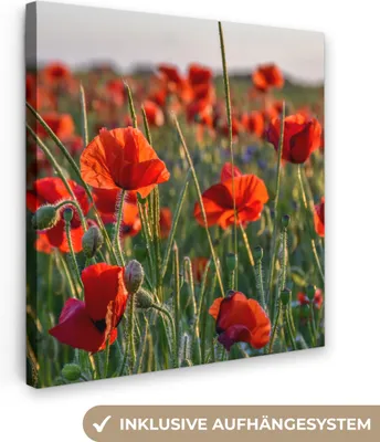Produktbild von MuchoWow® - Leinwandbilder - Blumen - Mohnblumen - Natur - Rot, Wandbild, Wanddeko Bilder Wohnzimmer, 90x90 cm