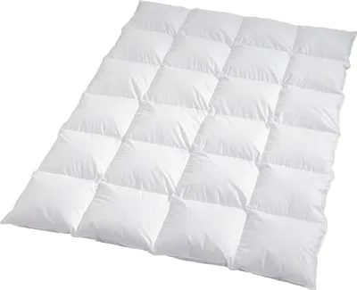 Produktbild von Traumschlaf Daunendecke Arktis warm, Füllung: 90% Daunen, 10% Federn 155x220 cm