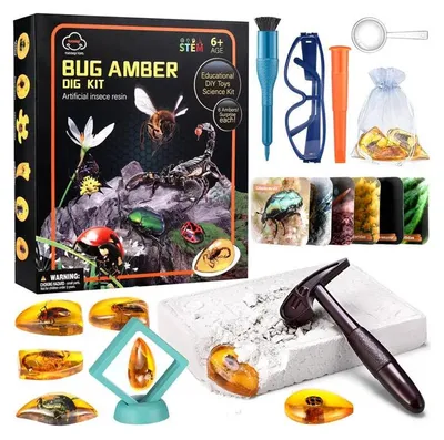 Produktbild von Ausgrabungen von Insektenfossilien in Bernstein, Archäologenset ZA4725