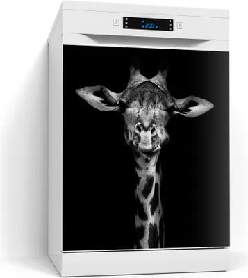 Produktbild von DEQORI Magnetmatte Spülmaschine beschreibbar 60x70 cm 'Giraffenporträt' Magnetfolie