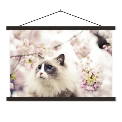 Produktbild von MuchoWow® Textilposter Eine Ragdoll-Katze zwischen rosa Blumen 90x60 cm mit schwarzem Rahmen - Aufhängungssatz