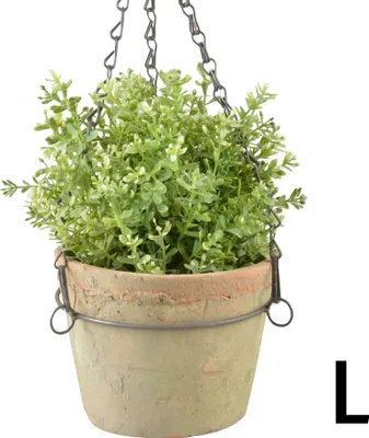 A hanging terracotta pot with a green plant.