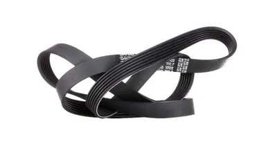 Produktbild von DAYCO Keilrippenriemen 1538,0mm für VW Golf IV Schrägheck (1J1) 6PK1538