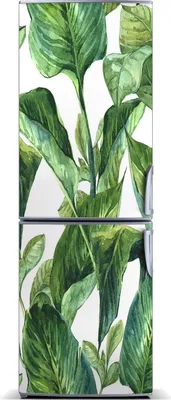 Imagen del producto de Decoración magnética para nevera - Alfombrilla magnética - 60 cm x 180 cm - Imán para nevera - Hojas tropicales