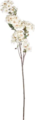 Produktbild von BUTLERS Kunstblume FLORISTA Kirschblüte