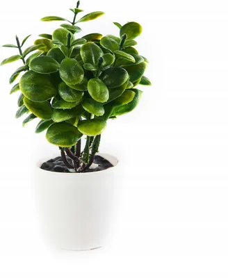 Produktbild von Kunstpflanze Grün im Topf 18cm - Realistische Deko Pflanze Pflegeleicht Büro Zuhause