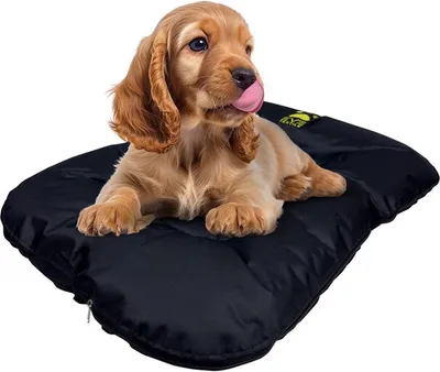 Produktbild von EVE Textile Hundebett Katzenbett 70x50x5 cm Schwarz Hundekorb Katzenkorb Hundekissen Katzenkissen Hundesofa Katzensofa Bett für Haustiere Hund Katze