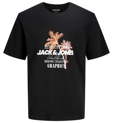 Produktbild von Jack&Jones Übergrößen T-Shirt JJGRADIENT schwarz
