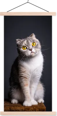Produktbild von MuchoWow® Textilposter Katze - Augen - Licht 60x120 cm mit holzfarbenen Rahmen - Holz