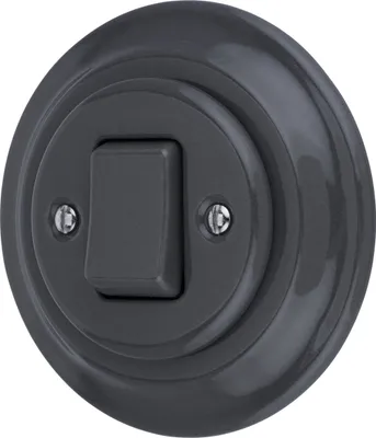 Image de Interrupteur croisé encastré porcelaine rétro I PR1 gris foncé