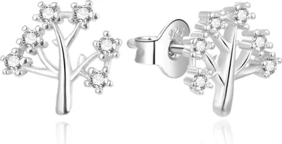 Produktbild von Timeless silver earrings with the tree of life AGUP2319L