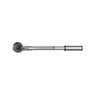 Immagine prodotto di Pompa SKS - USP - Argento