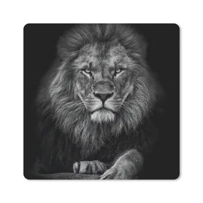 Produktbild von MuchoWow® Mauspad Mousepad Löwe - Tiere - Schwarz - Weiß 20x20 cm - Mousepads - Maus Mat - Pad - Mausunterlage - Desk Mat - Bureauartikeln