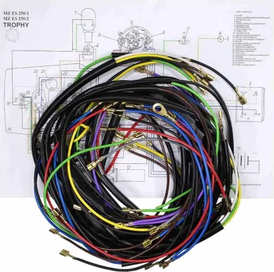 Obrázok produktu pre Elektrická Inštalácia Mz Es 250 250/1 250/2 Trophäe Ml