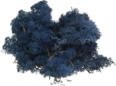 Produktbild von Deko Moos Blau Trockenmoos Basteln Gefärbt 500g Norwegisches Naturmoos DIY Dekoration