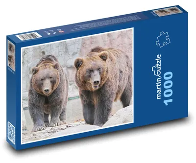 Zdjęcie produktu dla martinpuzzle - Puzzle 1000 - Zwierzęta - Niedźwiedzie