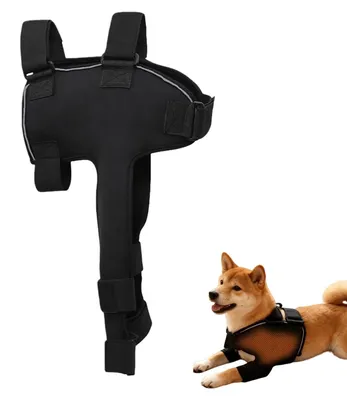 Imagen del producto de Vendaje ajustable para perros, ideal para proteger heridas