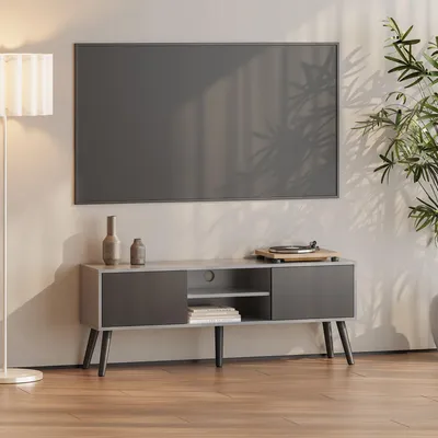 Image de Meuble TV « Eskilstuna » avec 2 portes et 2 étagères Gris clair/noir