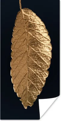 Produktbild von MuchoWow® Poster Blätter - Schwarz - Gold - Luxus - Natur 20x40 cm - Plakat - Foto