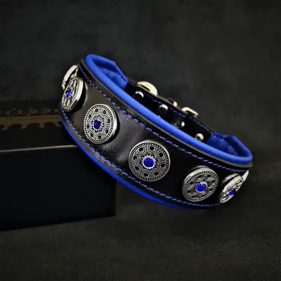 Produktbild von Bijou Halsband in Schwarz / Blau – XL- passt einem Halsumfang von 57,5 bis 65 cm / Nur Halsband