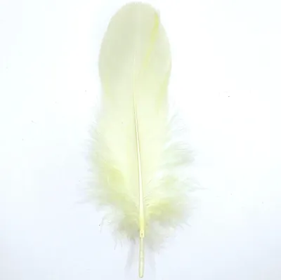 Immagine prodotto di Piume Piume d'oca, circa 15-20 cm, 10 pezzi, crema