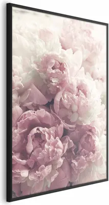 Produktbild von Posterpapier Poster - Delicate Peonies 29.7x42 cm Blumen b-B-0467-ao-a
