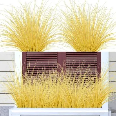Immagine prodotto di Rotolo di erba sintetica resistente alle intemperie, giallo, resistente ai raggi UV