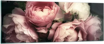 Produktbild von Bilder auf glas - Pfingstrose Blume - 140x50cm - Glasbilder - Wandbilder - Kunstdruck - zum Aufhängen bereit - Wanddekoration aus Glas - Glas Bilder - Wandbild auf Glas - Einteilig - GAB140x50-3930