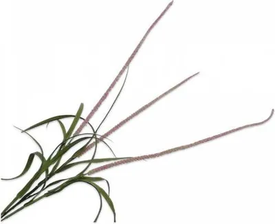 Produktbild von Silk-ka Kunstblume-Seidenblume-Kunstzweig Graszweig Lavendel-Rosa 135 cm
