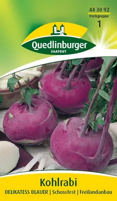 Produktbild von Quedlinburger Saatgut - Kohlrabi Delikateß blauer - Samen - 443092