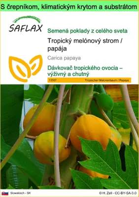 Obrázok produktu pre SAFLAX Garden to go - Tropický melónový strom / papája - Carica papaya - 30 Semená - S črepníkom, klimatickým vekom a pestovateľským substrátom