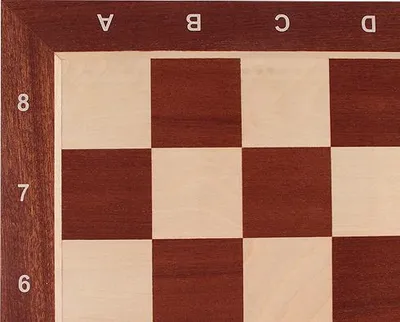 Image de Jeu d'échecs de tournoi n° 5 - échiquier de 50 mm + pièces Sunrise Staunton de 90 mm